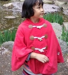 <p>Toddlers Need</p>